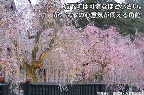 城下町は可憐なほど小さい。が、武家の心意気が伺える角館