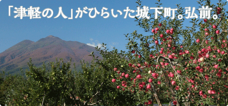 天守閣あたりの桜は雪を残すお岩木やまを背景にして咲く