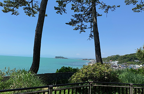 5月の富士山