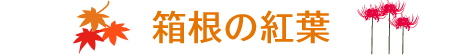 箱根の紅葉