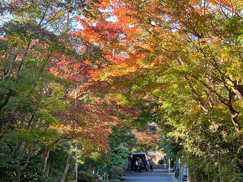 20211125海蔵寺参道