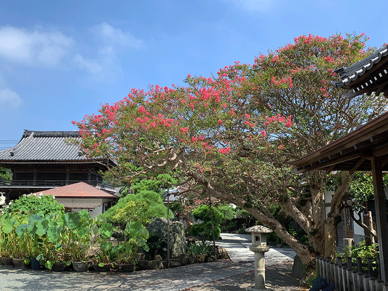 20220822本覚寺