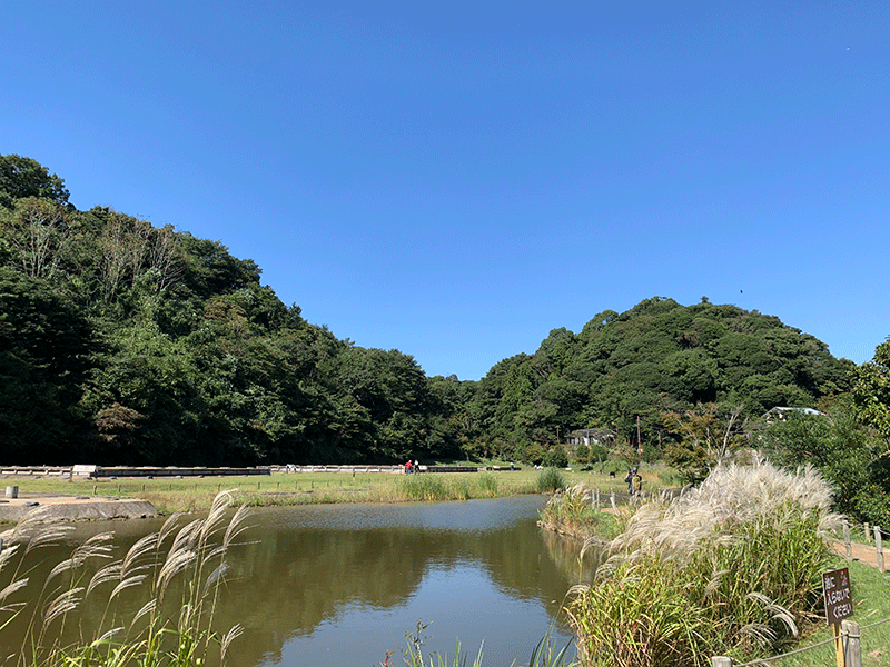 20221020永福寺跡