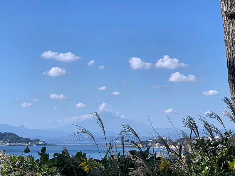 20231024秋風が吹く富士