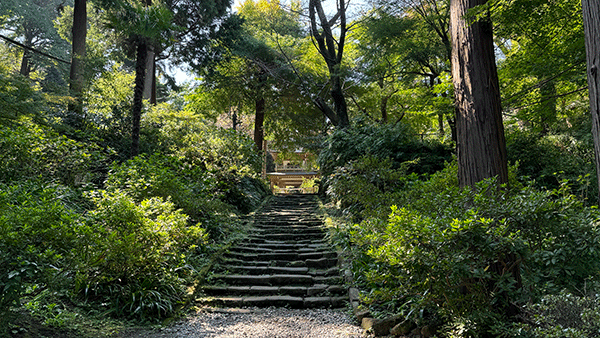 20241002浄智寺