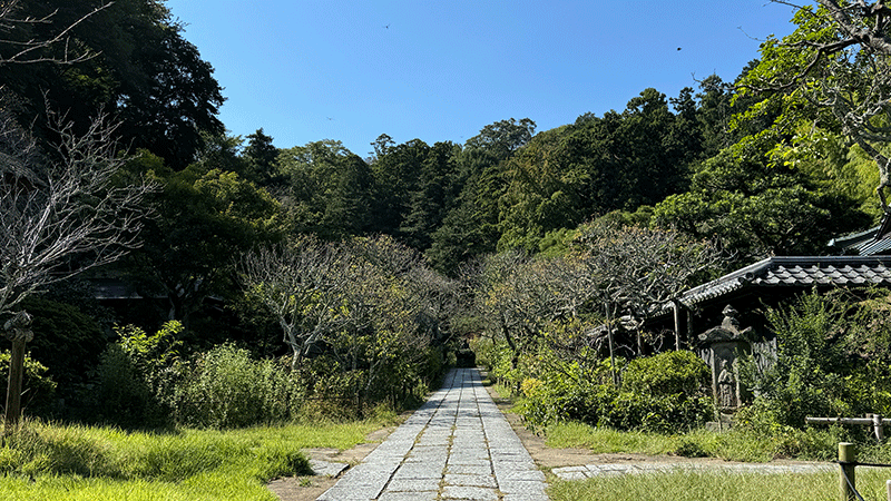 20241002祈る東慶寺
