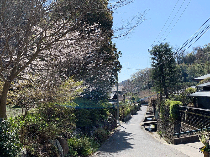 20210324覚園寺参道