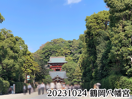 20231024鶴岡八幡宮