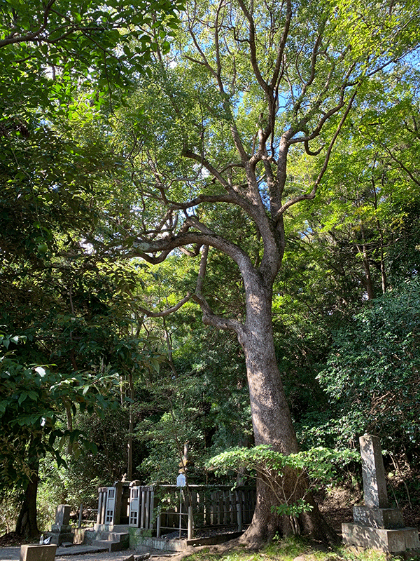 20231024頼朝の墓所