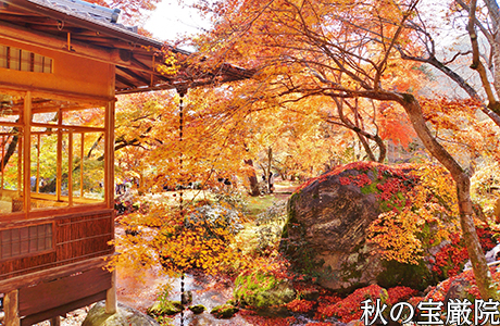 天龍寺　写真