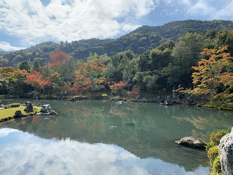 20221030天龍寺庭園