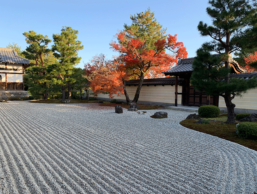 20221128等持院石庭