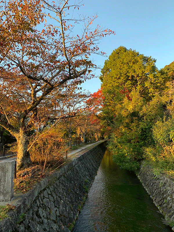 20221030哲学の道