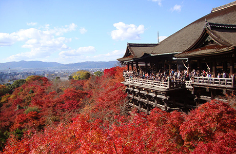 東山の風にふかれて