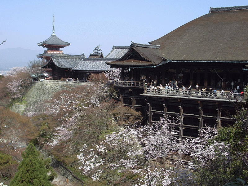 20050409清水寺のさくら