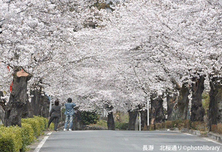 長瀞岩畳