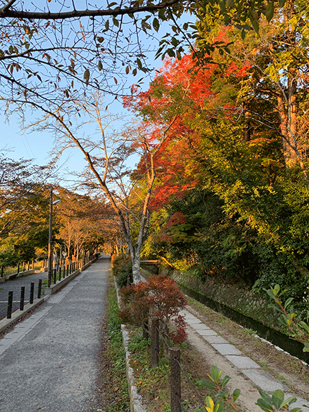 20221030哲学の道