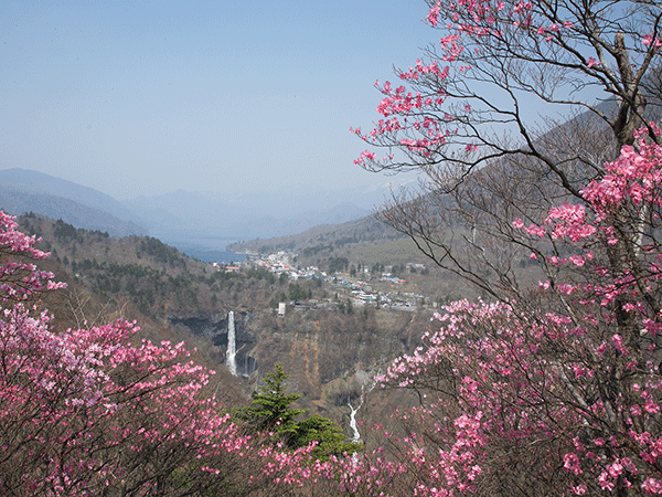 明智平から望む華厳滝