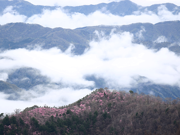 半月峠から望む足尾の山々（4月下旬）