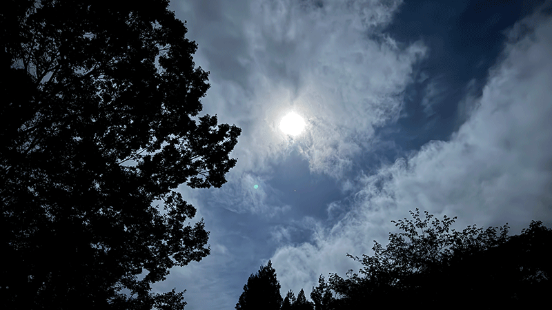 20251007 0108 中天に満月