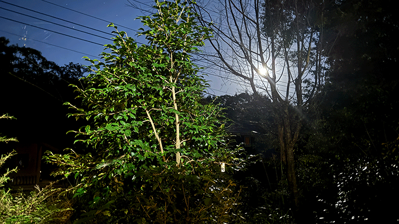 20251006 1810 月の出