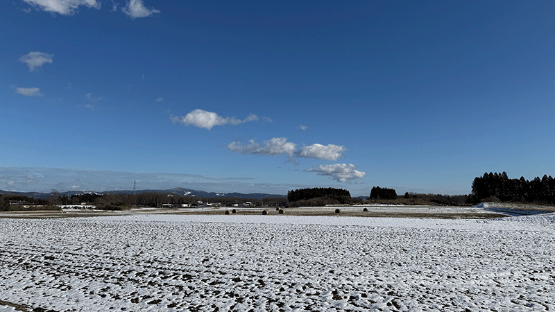 20260304雪を残す田んぼ