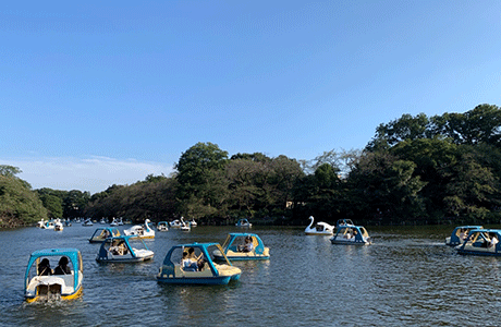 井の頭公園