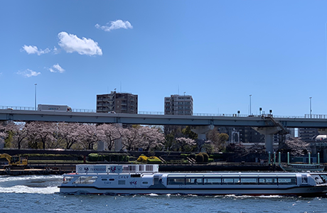 隅田公園