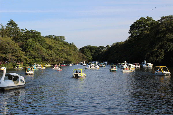 井の頭恩賜公園