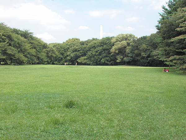 砧公園