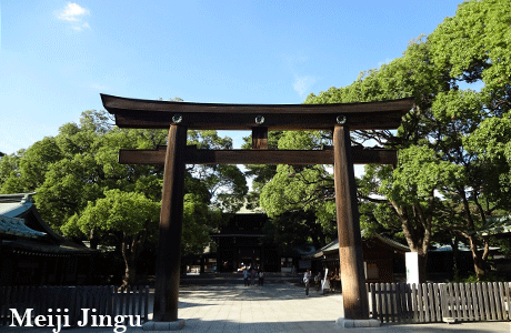 meiji jingu