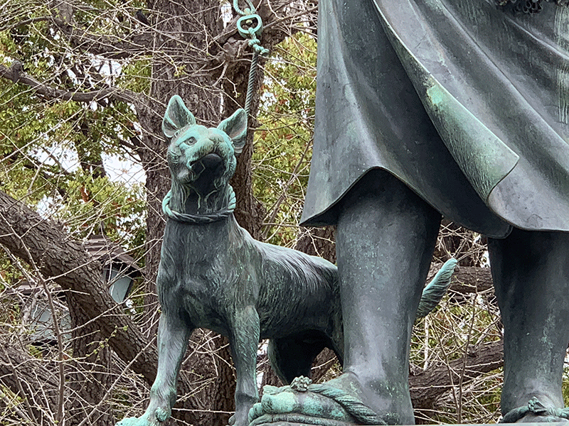 20240406愛犬ツン
