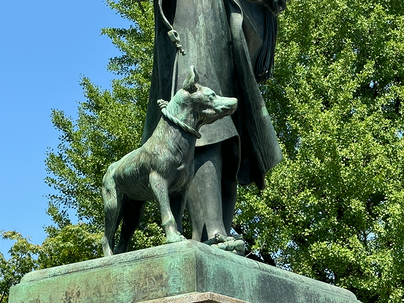 20240723うさぎ狩りのうまかった愛犬ツン