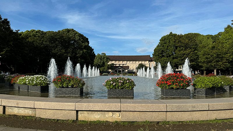 20241002噴水と花