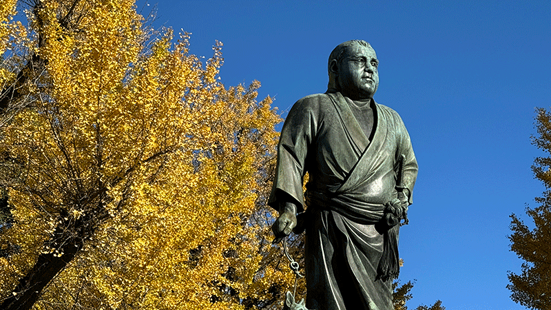 20241125西郷さん