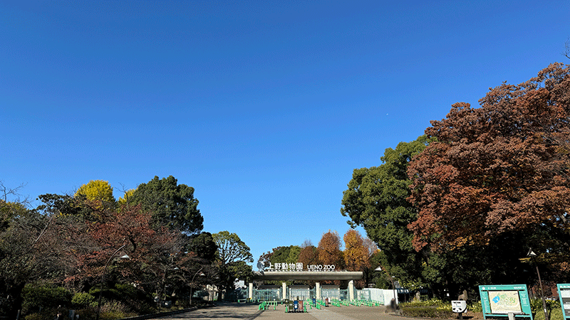 20241125上野動物園