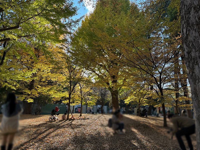 20251125幸せな夕暮れ