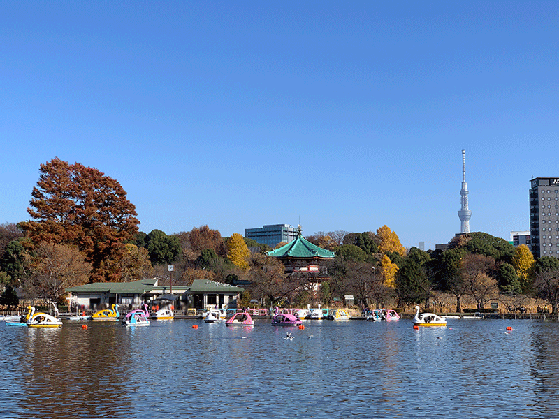 20231210不忍のボート池