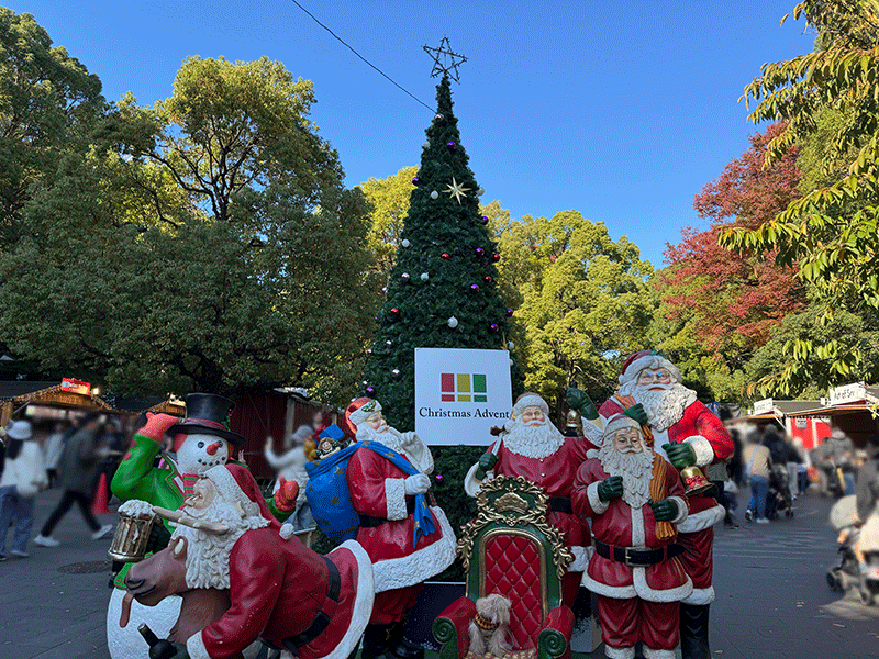 20251122森はクリスマス気分